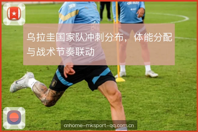 乌拉圭国家队冲刺分布，体能分配与战术节奏联动